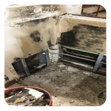 moisture and mold problem
